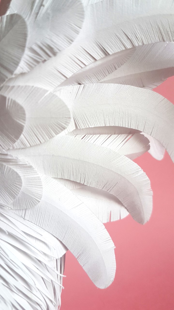 oiseau paperart